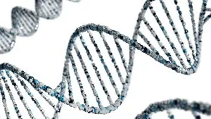 Surprising DNA segments in genealogy