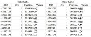 DNA markers shared segment