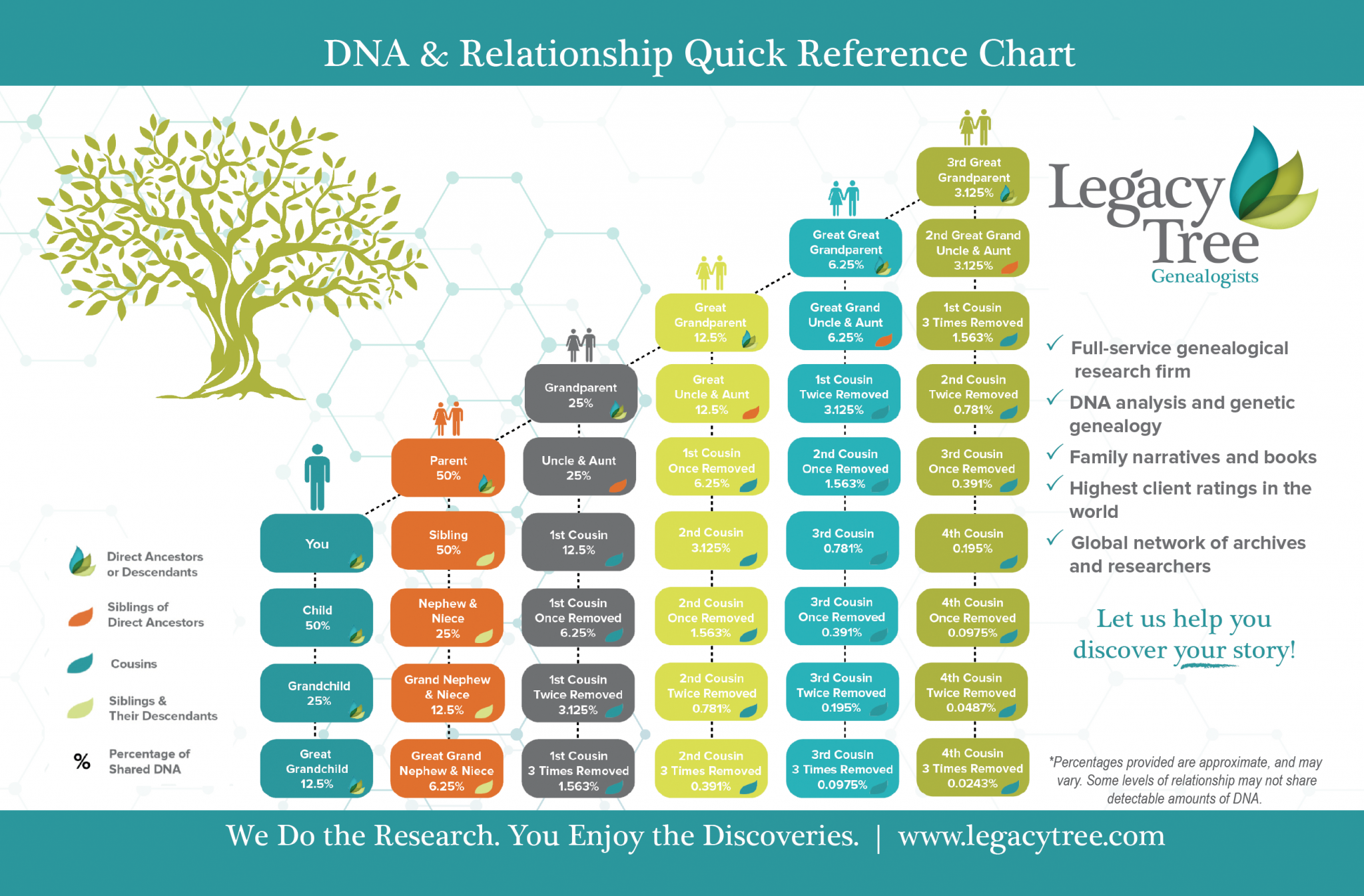 Centimorgan Dna Chart