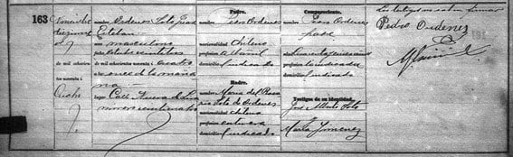 Chilean Birth Record