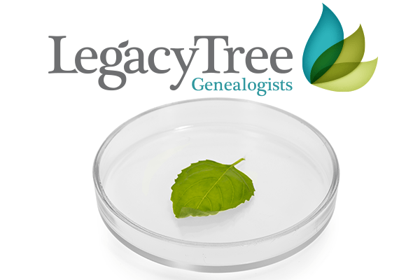 Developing a DNA Testing Plan for Genealogy | Legacy Tree Genealogists