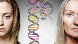 pursuing a career in genetic genealogy