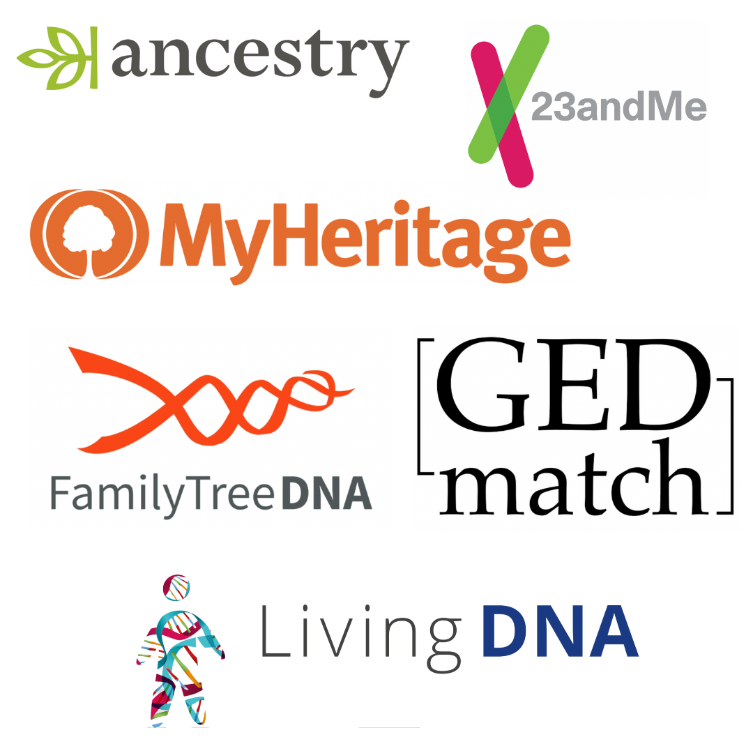 Best DNA Test - Which DNA Test is BEST for Your Genealogy Research  Family  tree template, Family tree genealogy, Family history organization