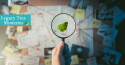 Genealogy Adoption Mysteries