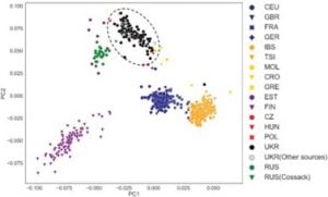 Ethnicity estimates