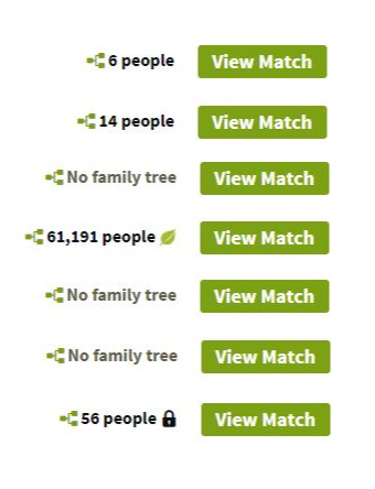 Cuban-American Results : r/AncestryDNA