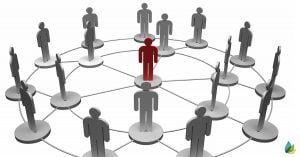 determine genetic relationships