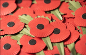 Royal British Legion Poppies